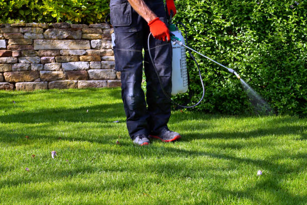 Best Outdoor Pest Control  in New Beaver, PA